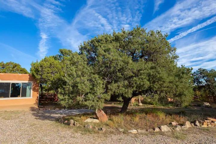 Bed and Breakfast Pet Friendly Pinon Heaven Canada de los Alamos Exteriér fotografie
